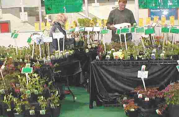 Hamish setting up a stall @ Dundee Market
