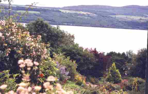 View from patio