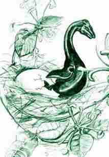 Nessy + Margaret