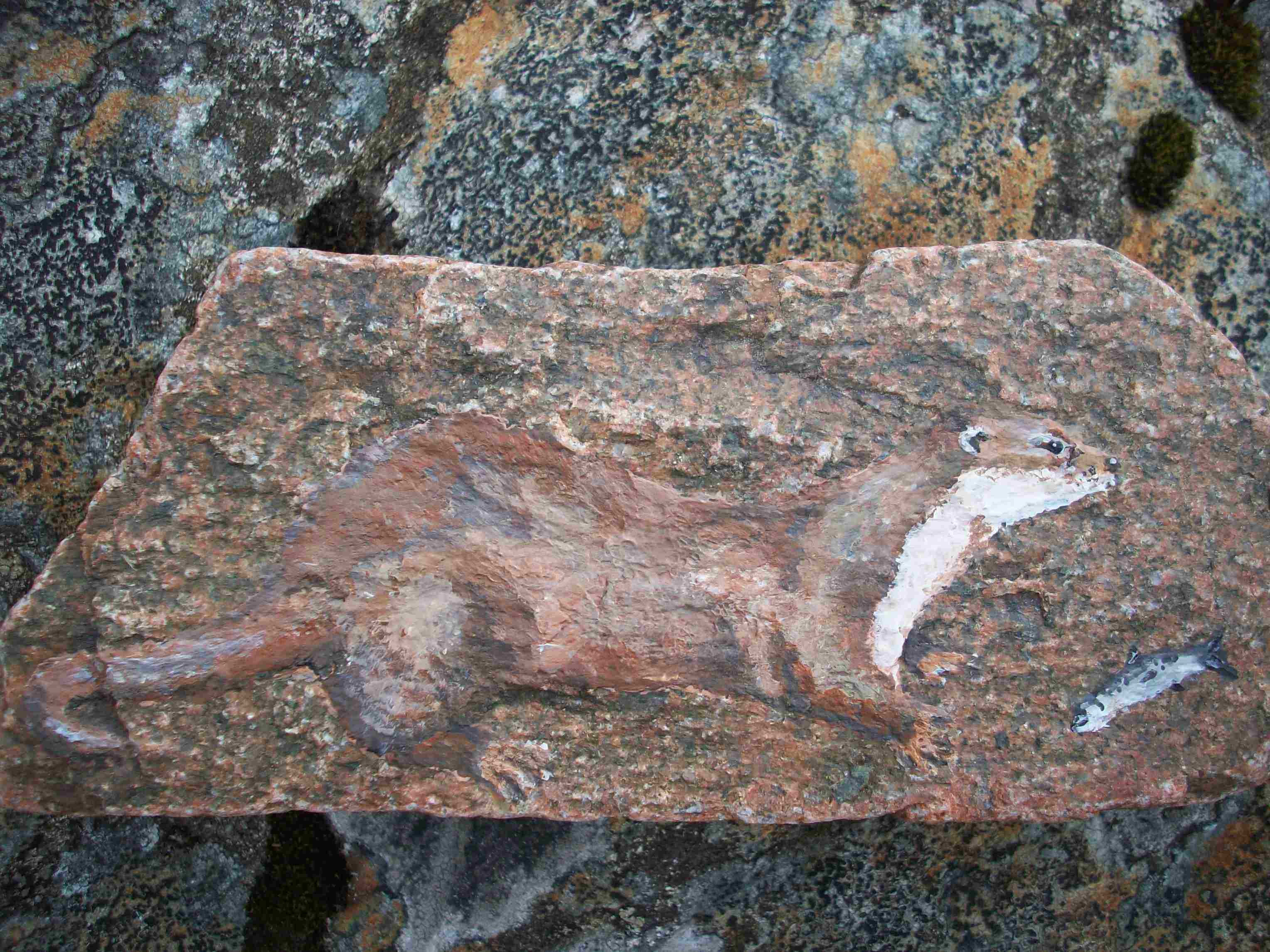 otter rock