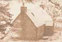 millness croft logo - abriachan nurseries